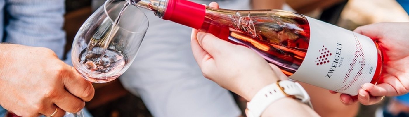 Degustacja wina w Winnicy Lipowiec – smak, pasja i spokój Roztocza