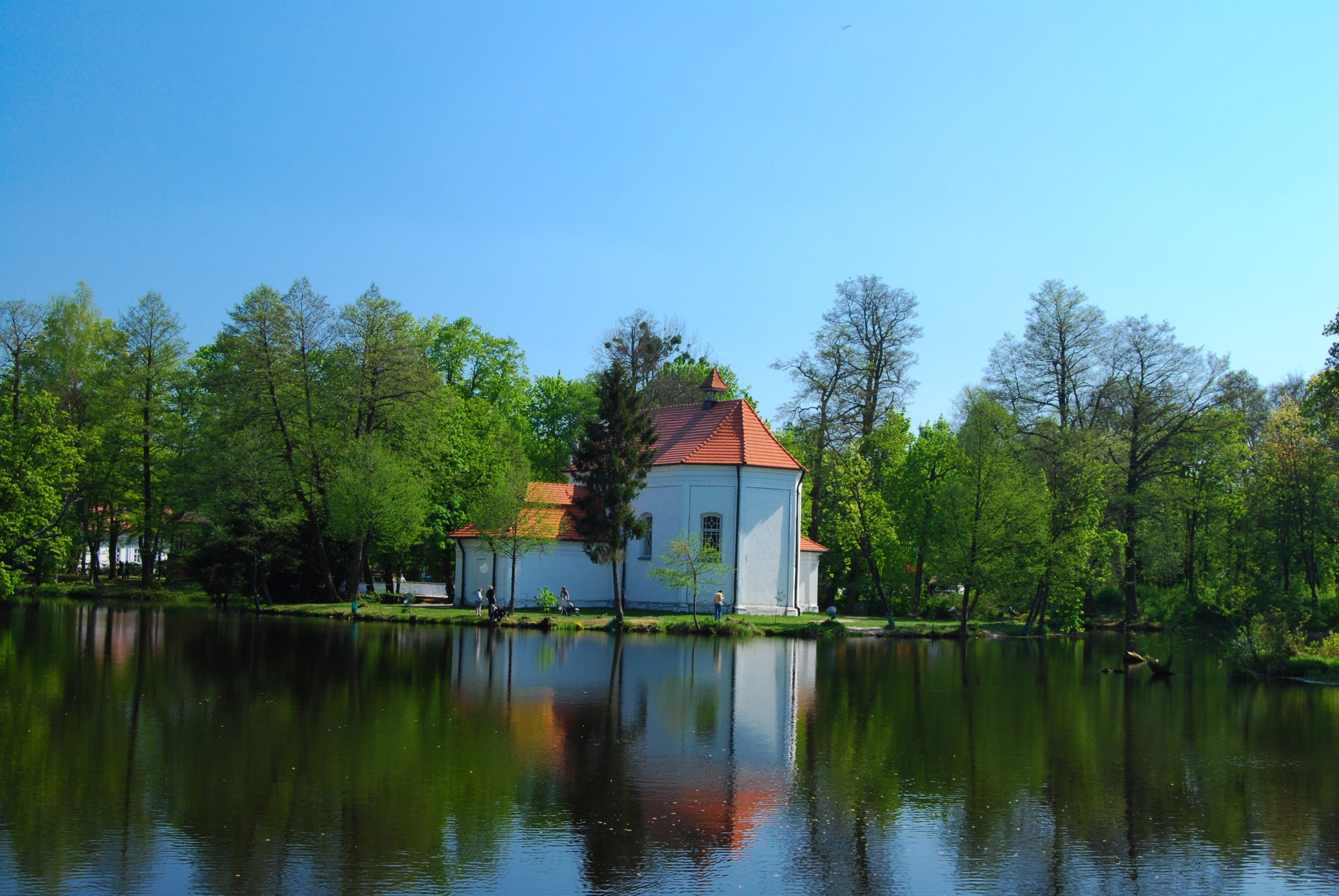 Zwierzyniec: Atrakcje, które musisz zobaczyć | Noclegi i Przewodnik I FAQ