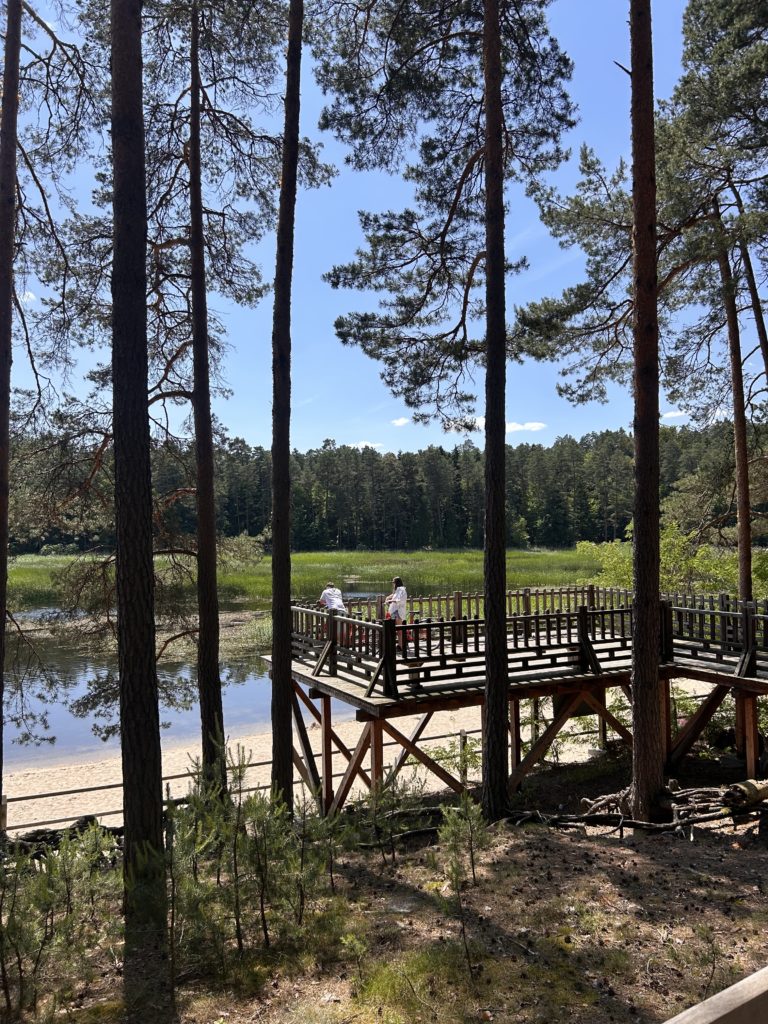 Atrakcje Zwierzyńca